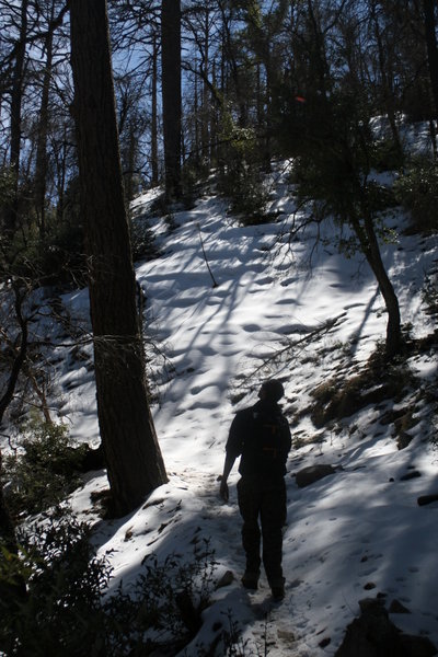 jeff on our snow trek