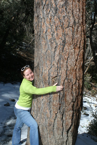 tree hugger!