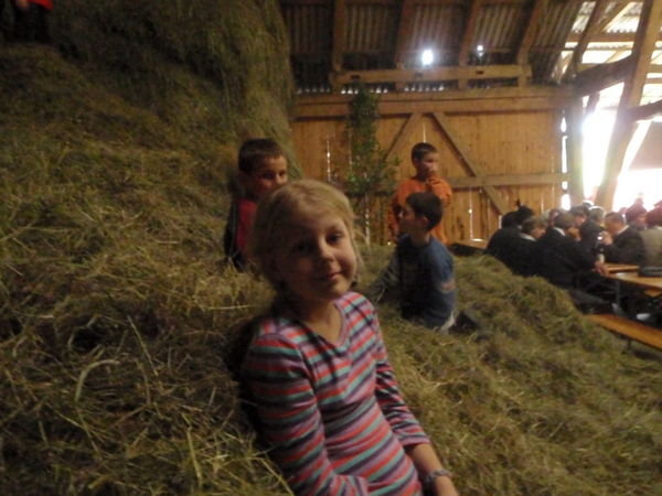 All the hay.