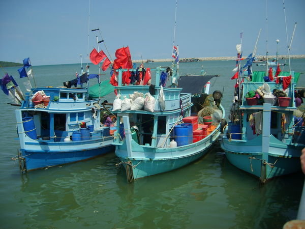 Colourful fishing boats