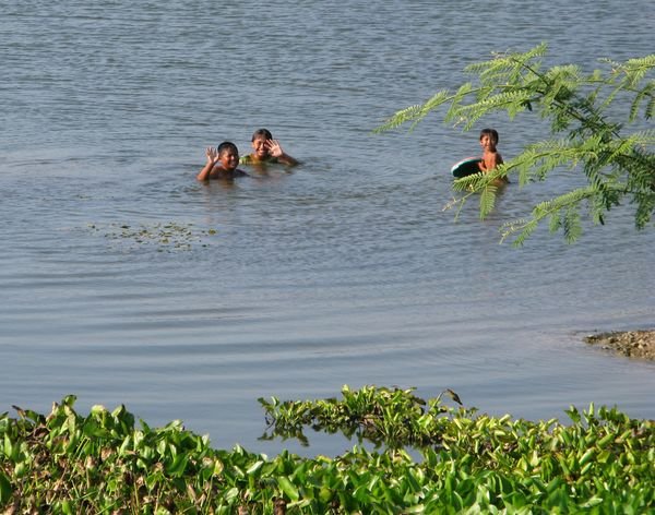 Some kids swimming in the lake
