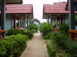 Our bungalows