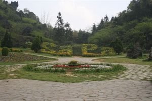 Sapa - the flower gardens on Radio Hill