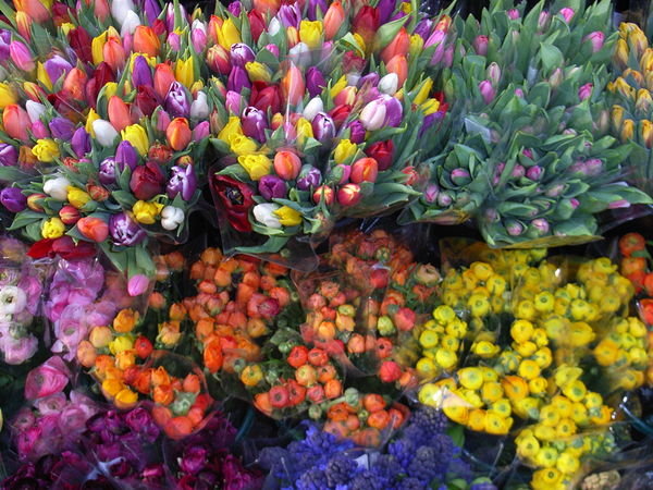 Un Mercado de Flores en Marruecos...no,no,no.Flores en la Estación de Norreport...
