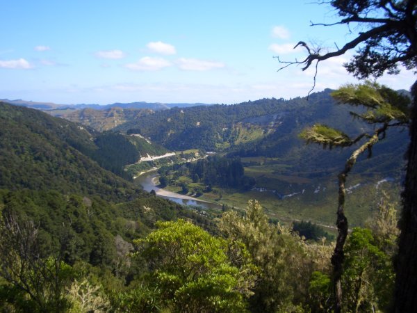 Wanganui river valley fantastic