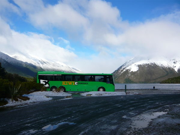 The Kiwi Bus
