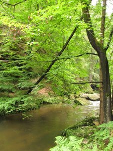 Udolim rieky Kamenice