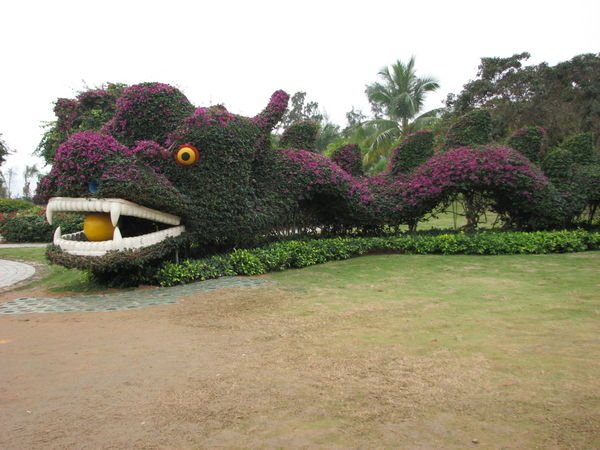 Dragon of bushes