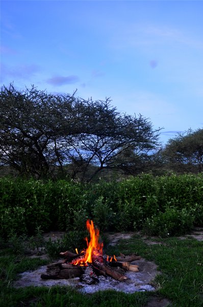 The fire in the serengeti