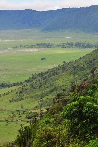 The edge of the Ngorongoro crater