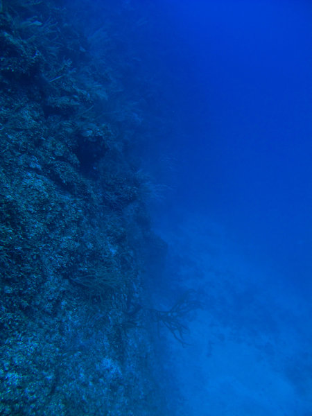 The Steep deep walls of what I used to call the Belize Barrier Reef
