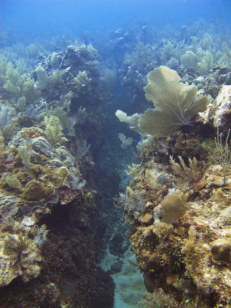 A small  cut in the reef
