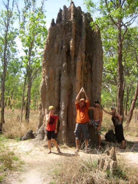 Giant termite mound at Barramundi Gorge