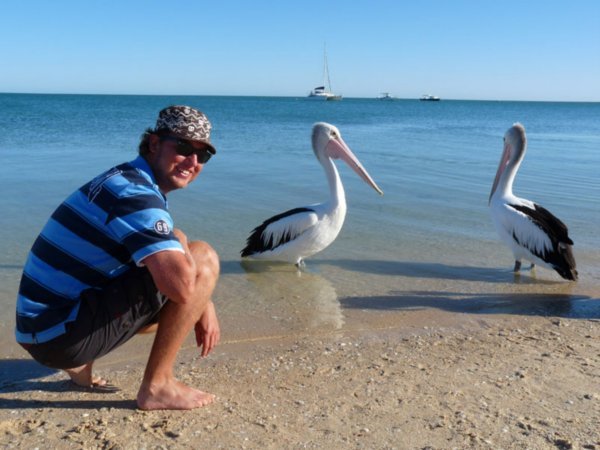 Roy befriending some pelicans. The Shotover is in the middle above the pelican