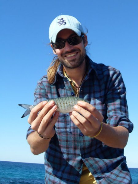 Smallest of the three herring