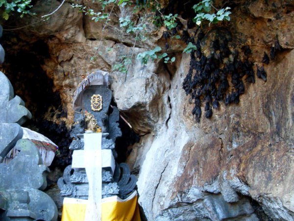 Goa Lawah, the bat-temple. A big cave which houses thousands of bats. A temple was constructed in front of it with images of bats