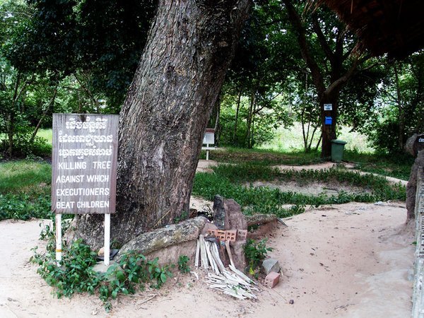Tree against which the executioners killed babies and children