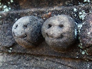 Ancient Smilies! Actually these used to be flowers but weathering left them looking like this.