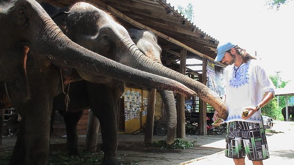 Meeting the elephants.. careful where you put that trunk please