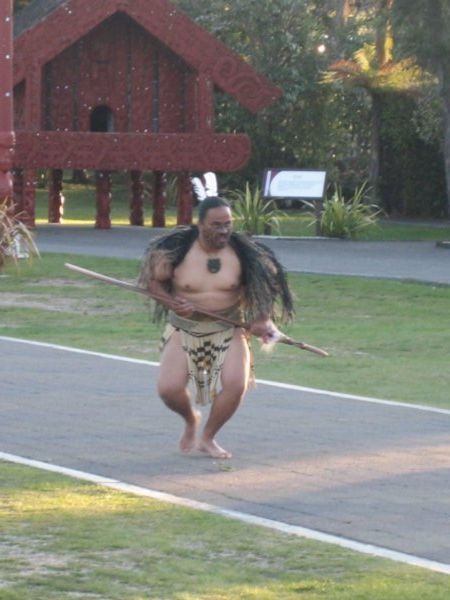 Traditional maori warrior at the Te Puia show