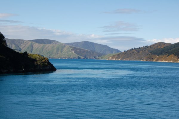 Views over the interlander ferry to the south island