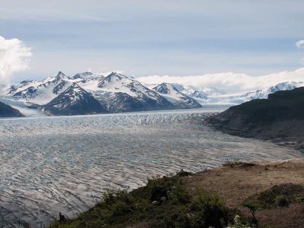 View of Grey Glacier