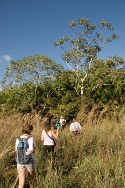 The Pantanal