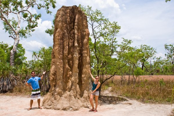 Litchfield Termite Mound