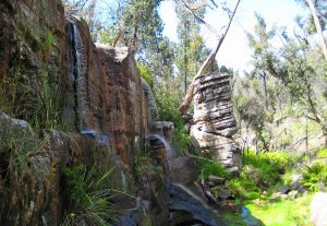 Grampian's National Park