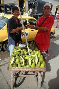 Vendedores de Abacate.