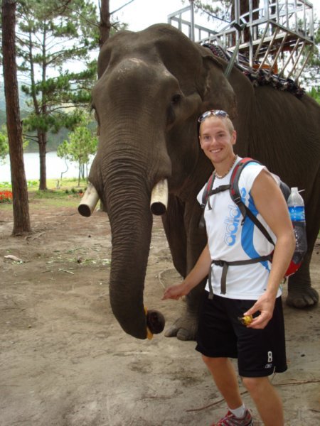 Pic with an elephant