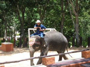 fil-Tayland'ın simgesi