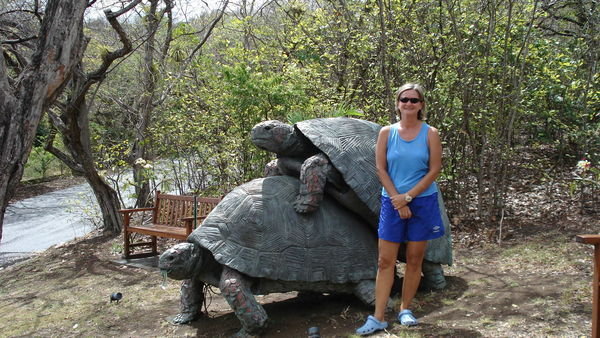 Donna with Turtles