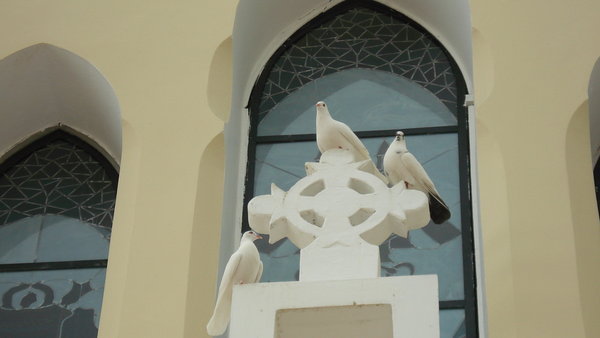 Doves in front of a Church