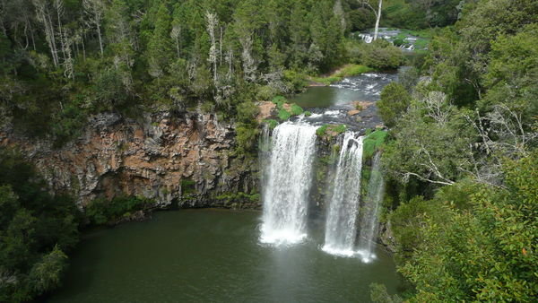 Dangar Falls, Dorrigo, NSW.