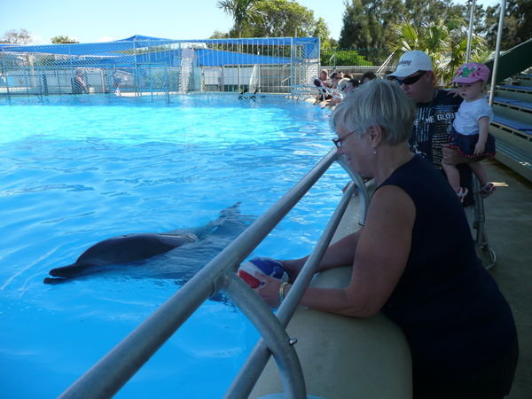 me playing with dolphin
