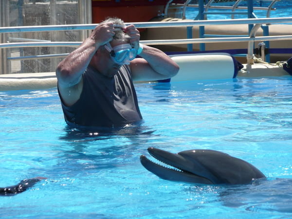 Dolphin looks os as Chrtis puts mask on