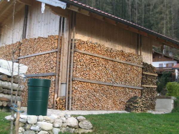 Standard Alps woodpile