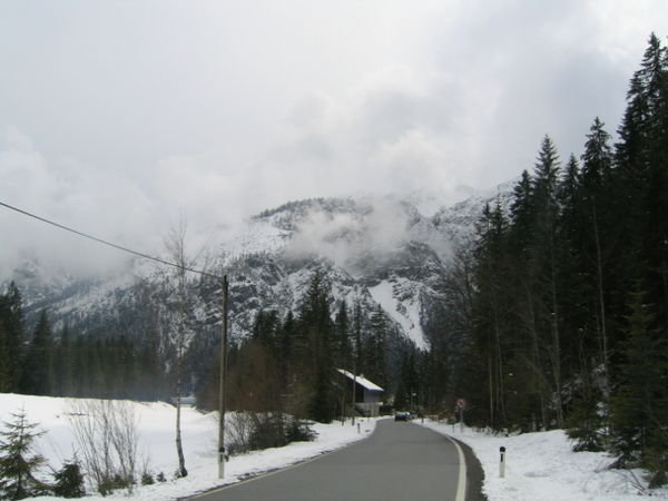 Alps near Fussen 1
