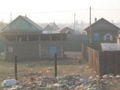 Typical view from train - Siberia