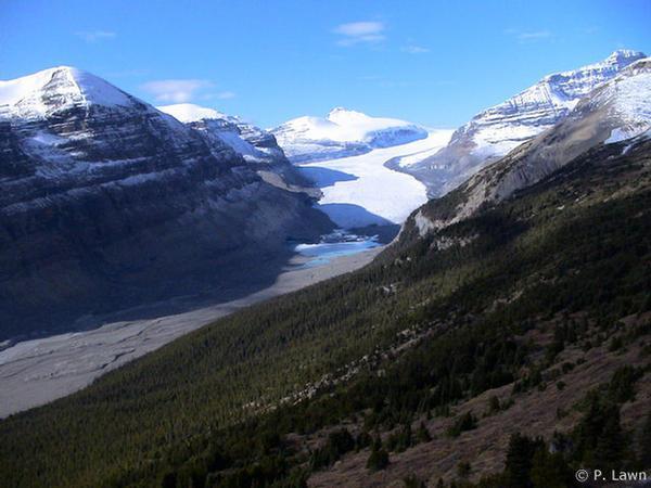 View of Saskatchewan Glacier