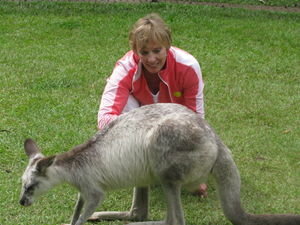 GJ feeding a kangaroo
