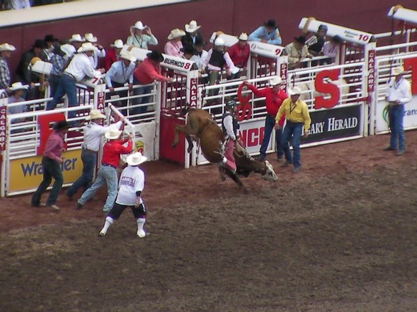 Rodeo, Rodeo, Rodeo