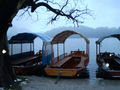Pletnas en el lago Bled