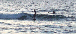 Surfers in Noja