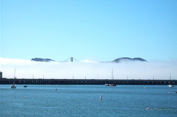 Golden Gate with fog