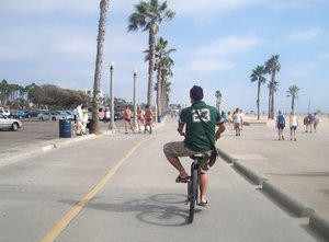 Biking (venice Beach)