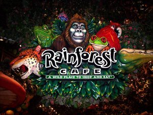 Rainforest bar & restaurant