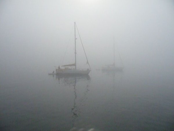 fog bound Sines harbour
