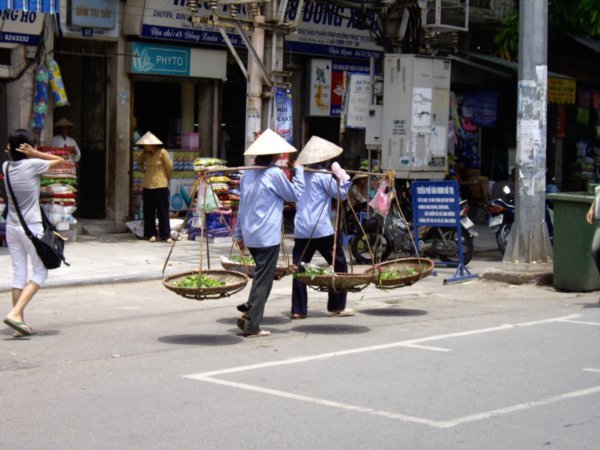 Conical Hats in Hanoi